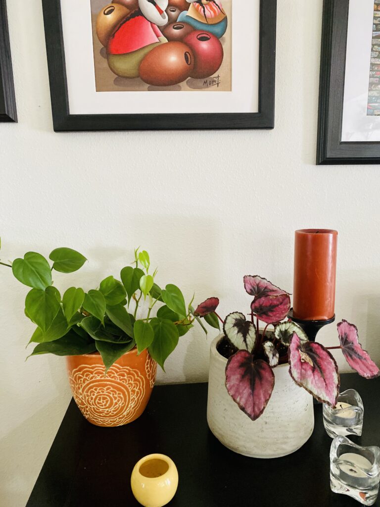 Pot with different pothos and begonia baby plants sitting on a small console table and with an art above.