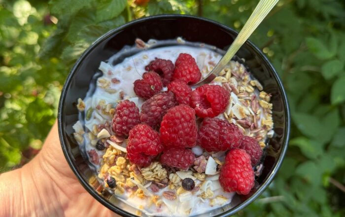 A bowl of cereal with raspberries and milk.