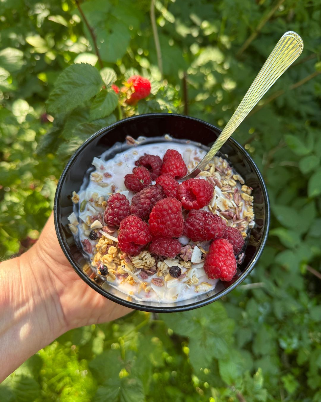 A bowl of cereal with raspberries and milk.